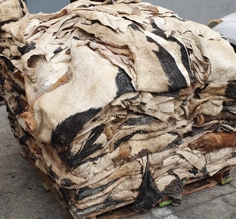 tanning cow hides for boots